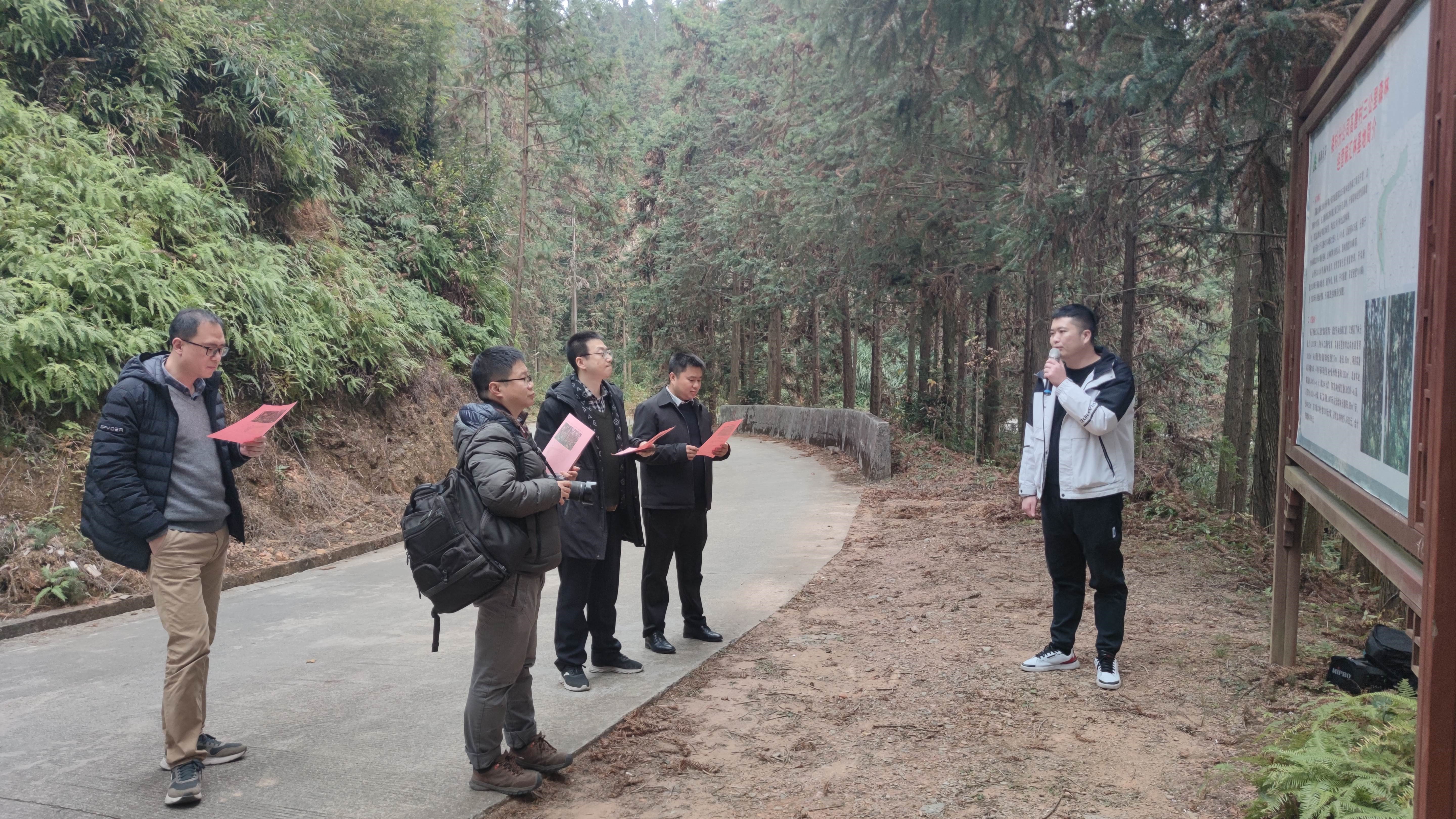 福建金森與上海園林集團(tuán)——強(qiáng)強(qiáng)交流促合作，共繪林改新藍(lán)圖