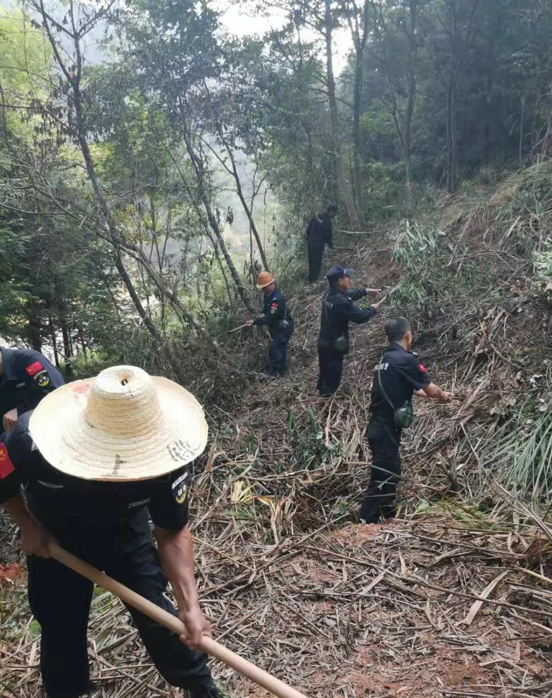 干好每一天|青山掛白我復(fù)綠，無私奉獻(xiàn)金森人——資源保護(hù)部義務(wù)突擊隊工作記實