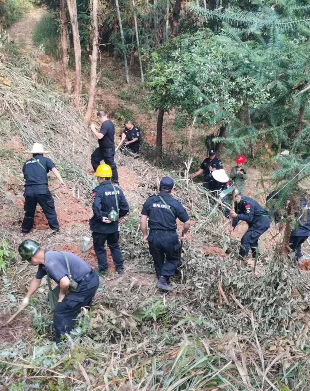 干好每一天|青山掛白我復(fù)綠，無私奉獻(xiàn)金森人——資源保護(hù)部義務(wù)突擊隊工作記實