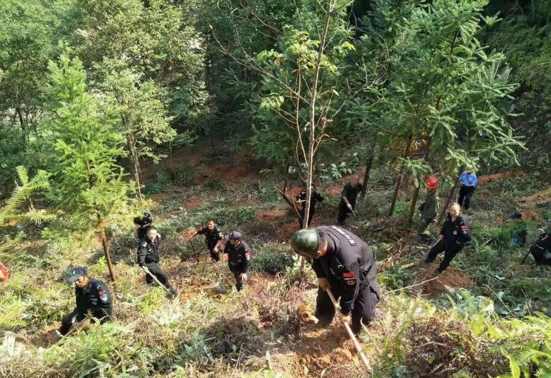 干好每一天|青山掛白我復(fù)綠，無私奉獻(xiàn)金森人——資源保護(hù)部義務(wù)突擊隊工作記實
