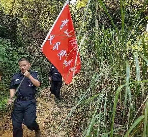 干好每一天|青山掛白我復(fù)綠，無私奉獻(xiàn)金森人——資源保護(hù)部義務(wù)突擊隊工作記實