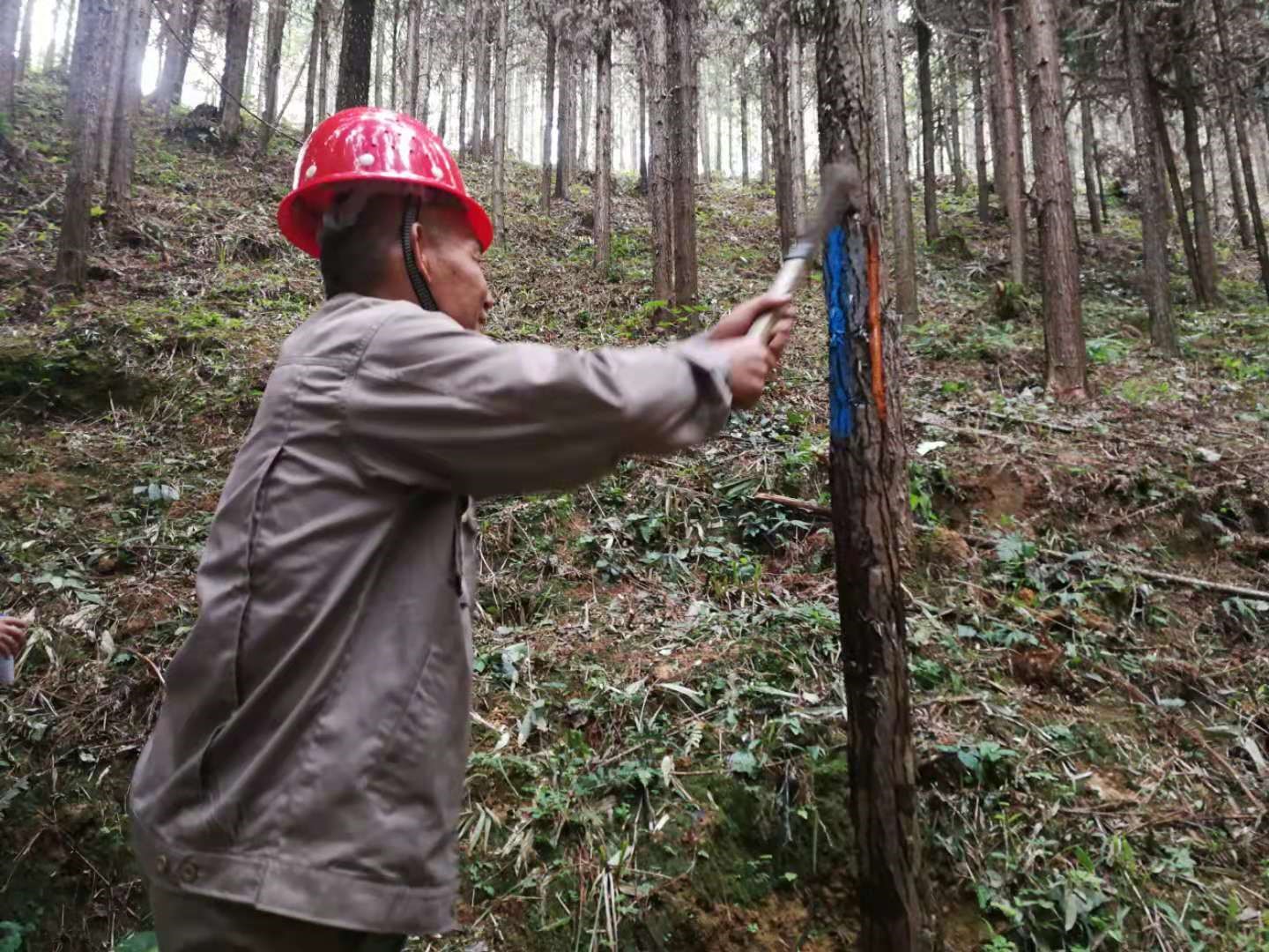 支部結(jié)對共建 促進黨建業(yè)務(wù)“雙提升”