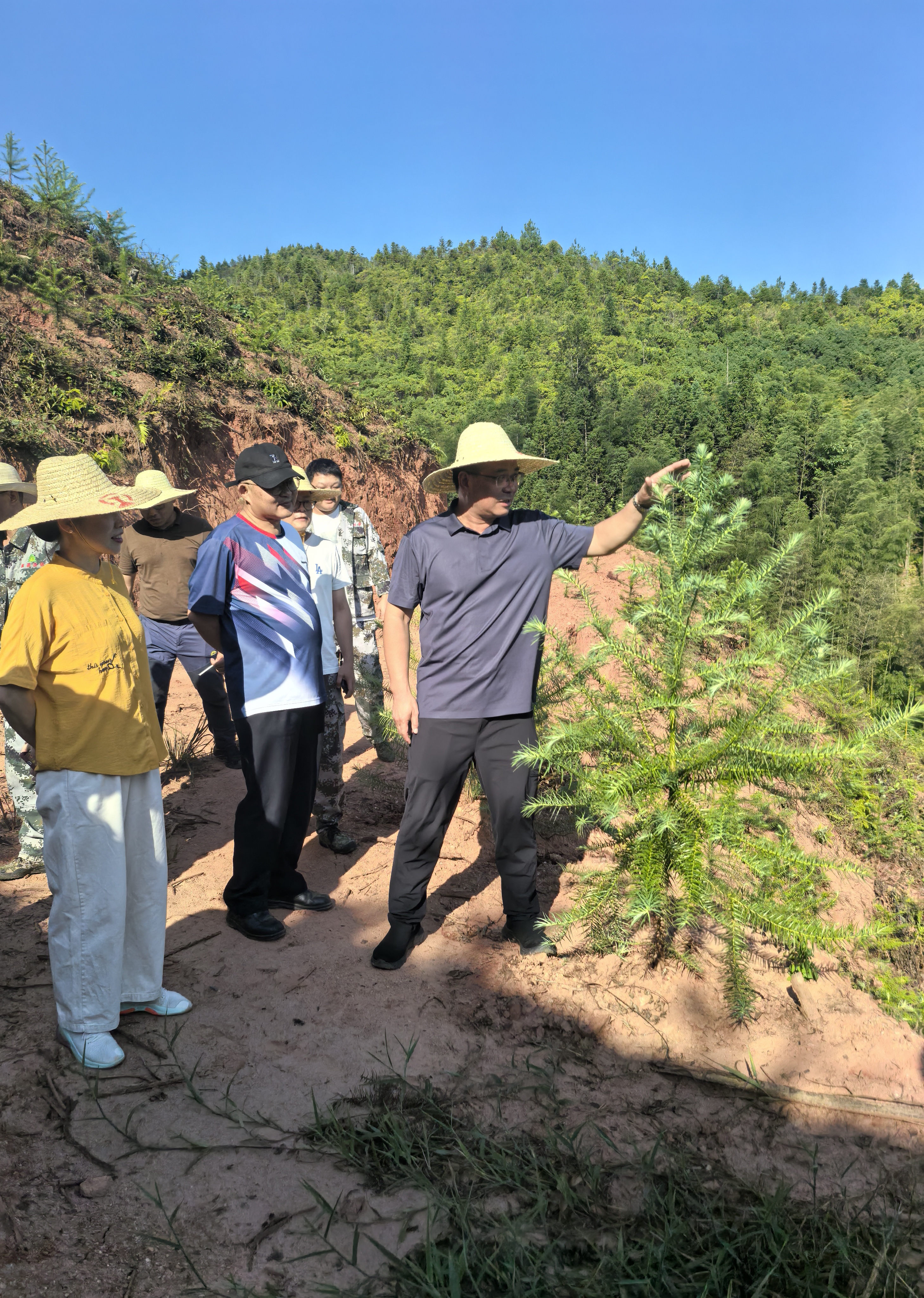 福建省林科院副院長(zhǎng)鄭仁華一行蒞臨福建金森 指導(dǎo)森林資源培育工作